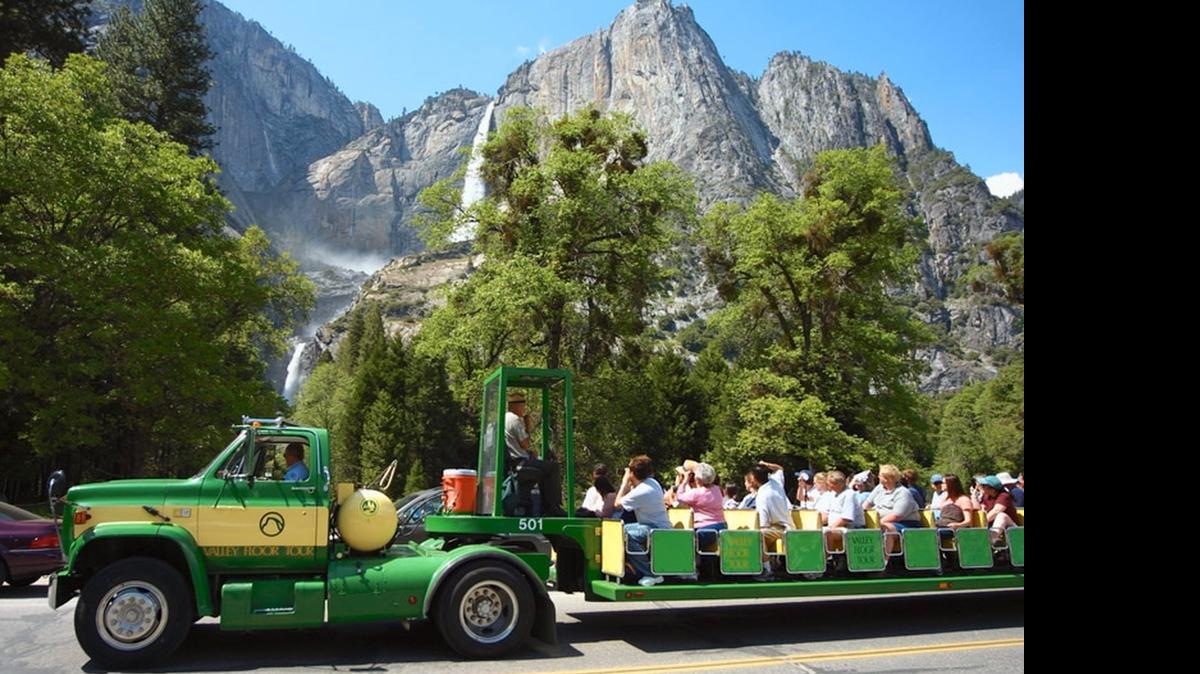 
Take a tour-hour tour of Yosemite valley.
