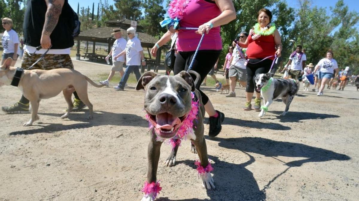 The Spring Bully Walk is Sunday morning at Woodward Park.
