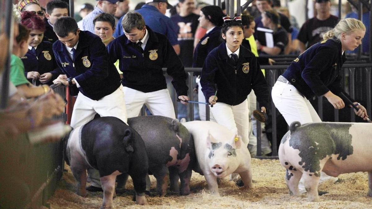 The Tulare County Fair kicks off today and continues through Sunday.