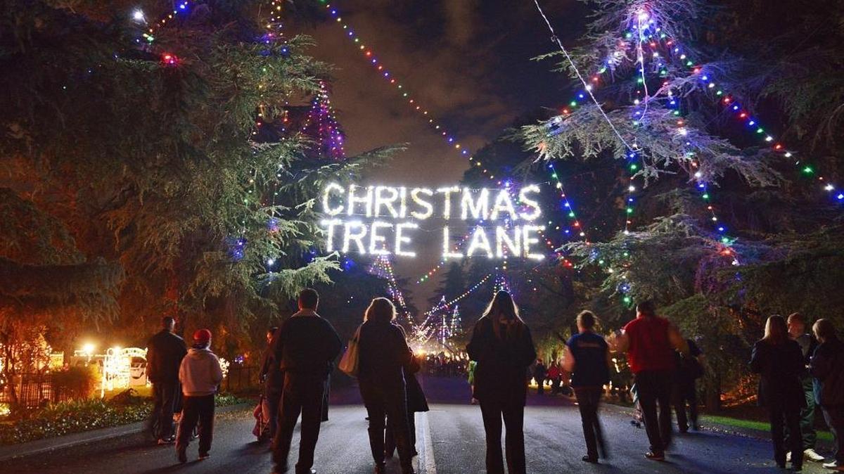 Enjoy the last walk night of the year tonight on Christmas Tree Lane.