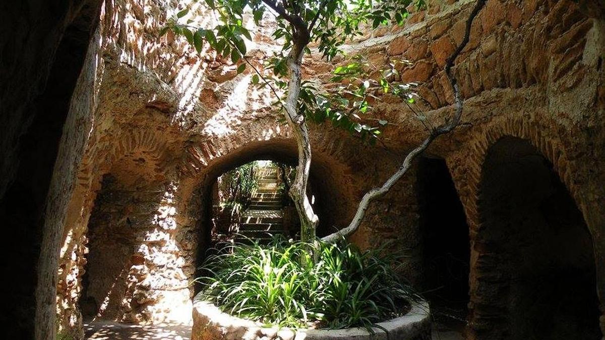 Enjoy a special tour of the historic Forestiere Underground Gardens.