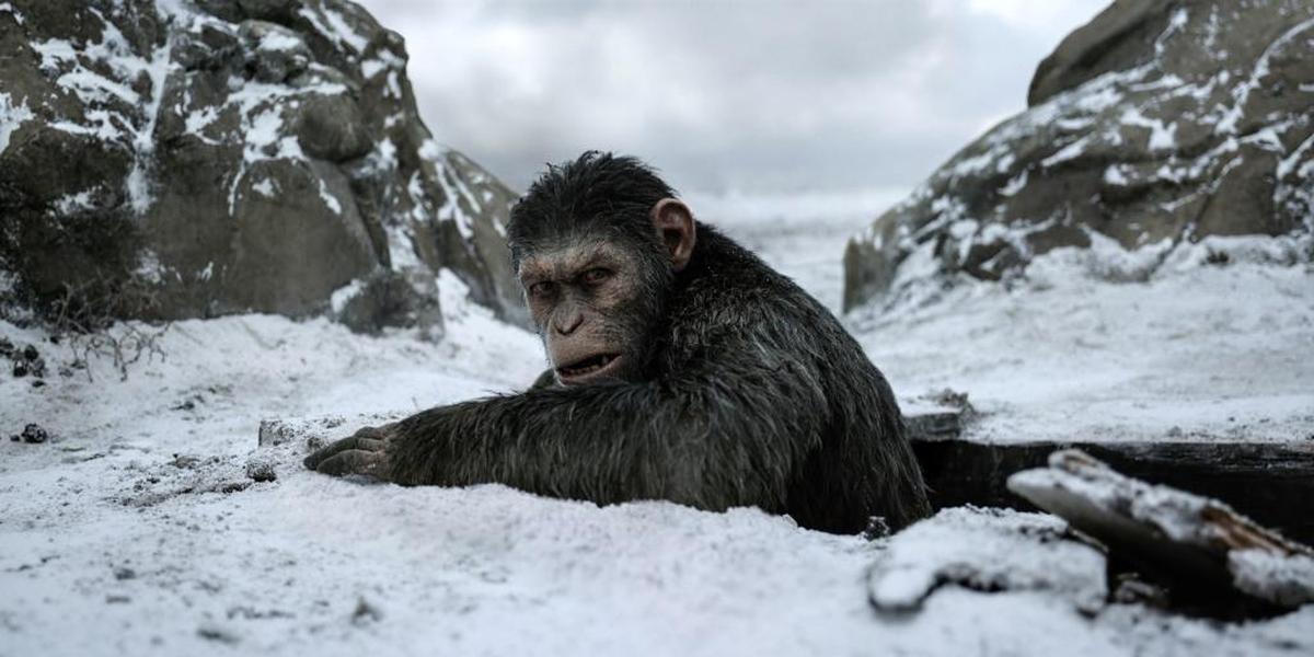 “War for the Planet of the Apes” opens in theaters July 14.