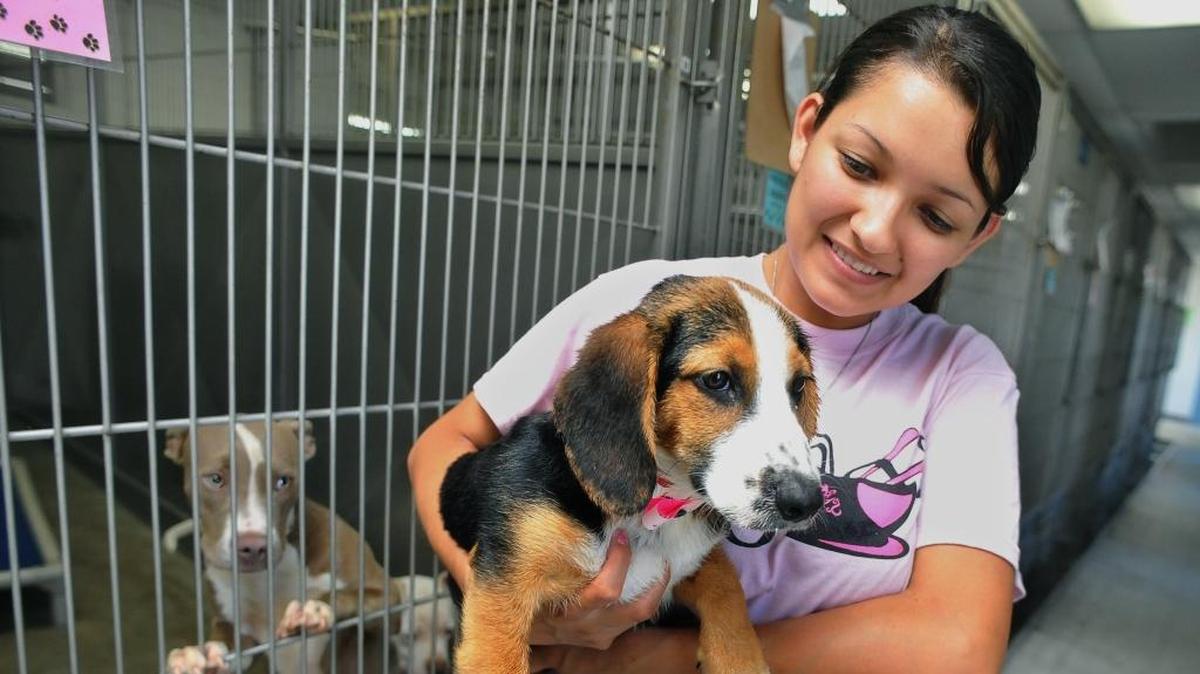 Support the Fresno Humane Animal Society at Pups & Suds.