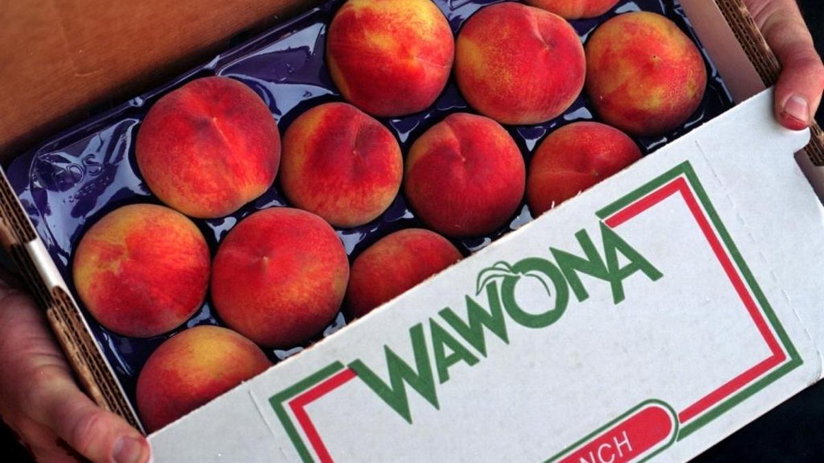 Box of freshly packed peaches from Wawona Ranch.