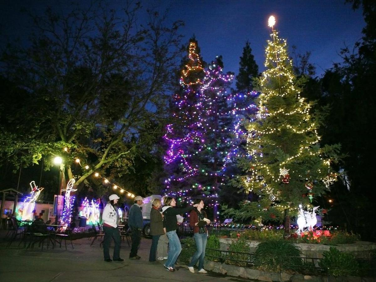 The Fresno Chaffee Zoo transforms itself into a winter wonderland.