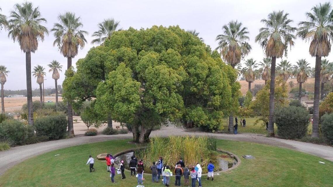 Fresno Unified students lost field trips due to budget cuts. Where did the money go?