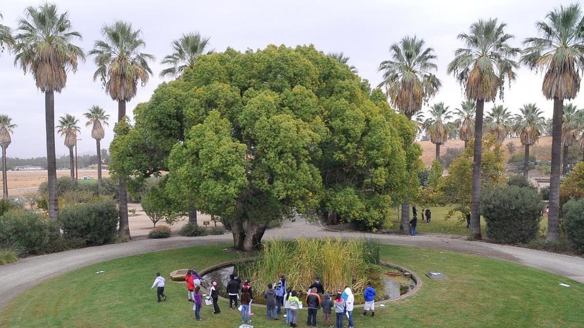 Vang Pao Elementary School takes a field trip as part of the San Joaquin River Parkway and Conservation Trust’s 25th anniversary celebration.