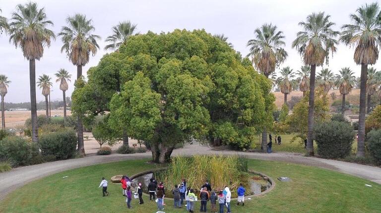 Fresno Unified students lost field trips due to budget cuts. Where did the money go?