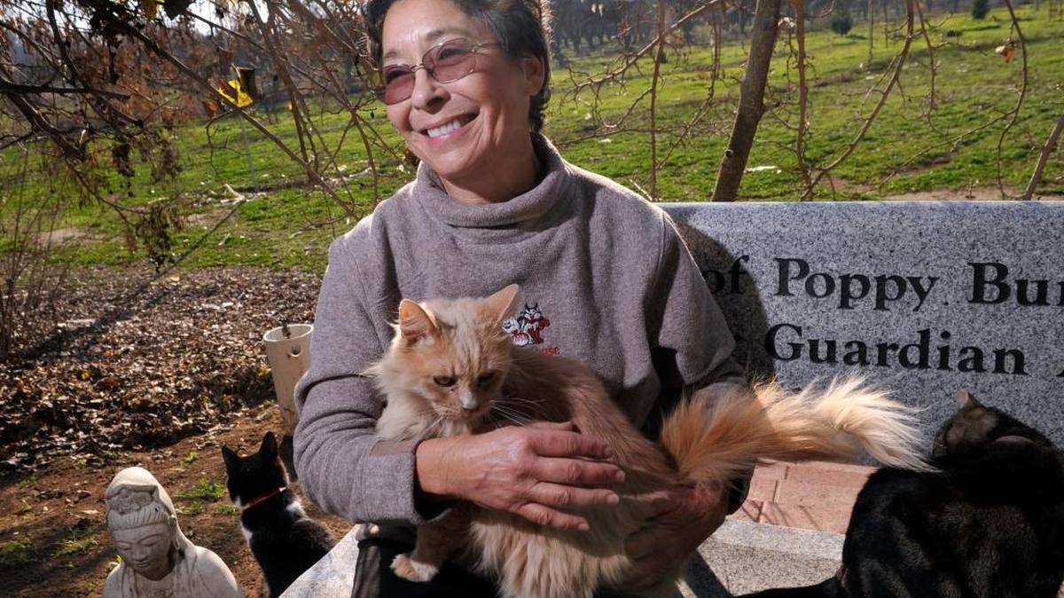 Lynea Lattanzio is the founder of Cat House On The Kings. Spring Open House at the facility will take place 10 a.m.-2 p.m. Saturday, May 7.