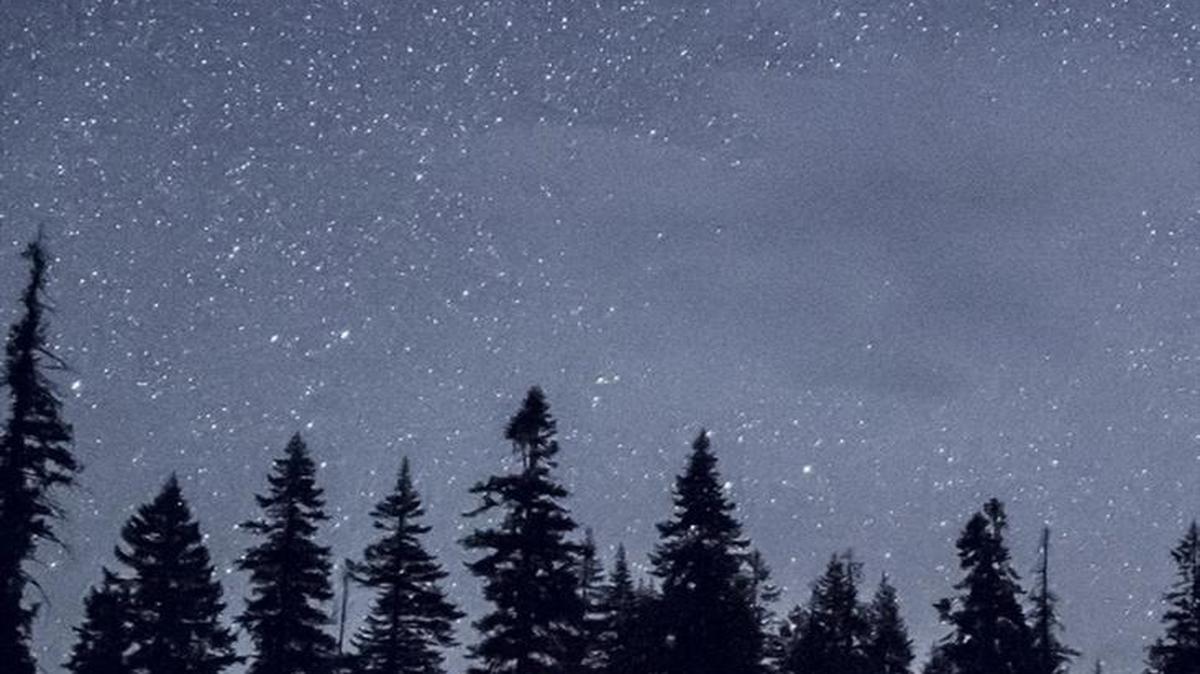 Enjoy the night sky at the 2017 Dark Sky Festival, which happens July 21-23 at Sequoia and Kings Canyon National Parks.