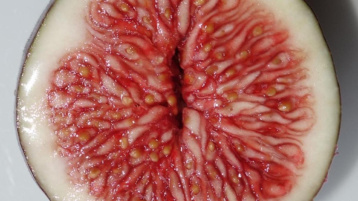 Tony Stamolis’ ‘Fresno Fig’ exhibition is on display at the Misc. Trading Company.