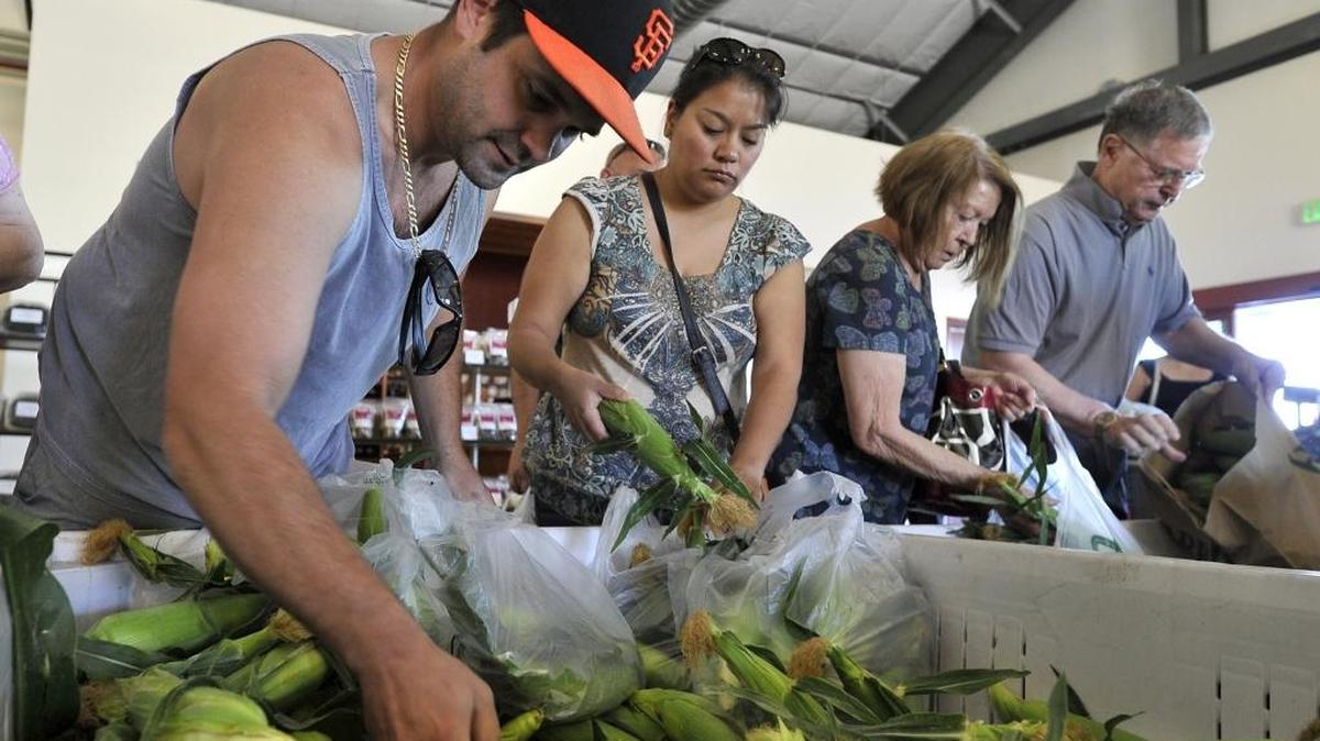 Sample a variety of goods produced by the Fresno State farm at the annual Fall Festival.