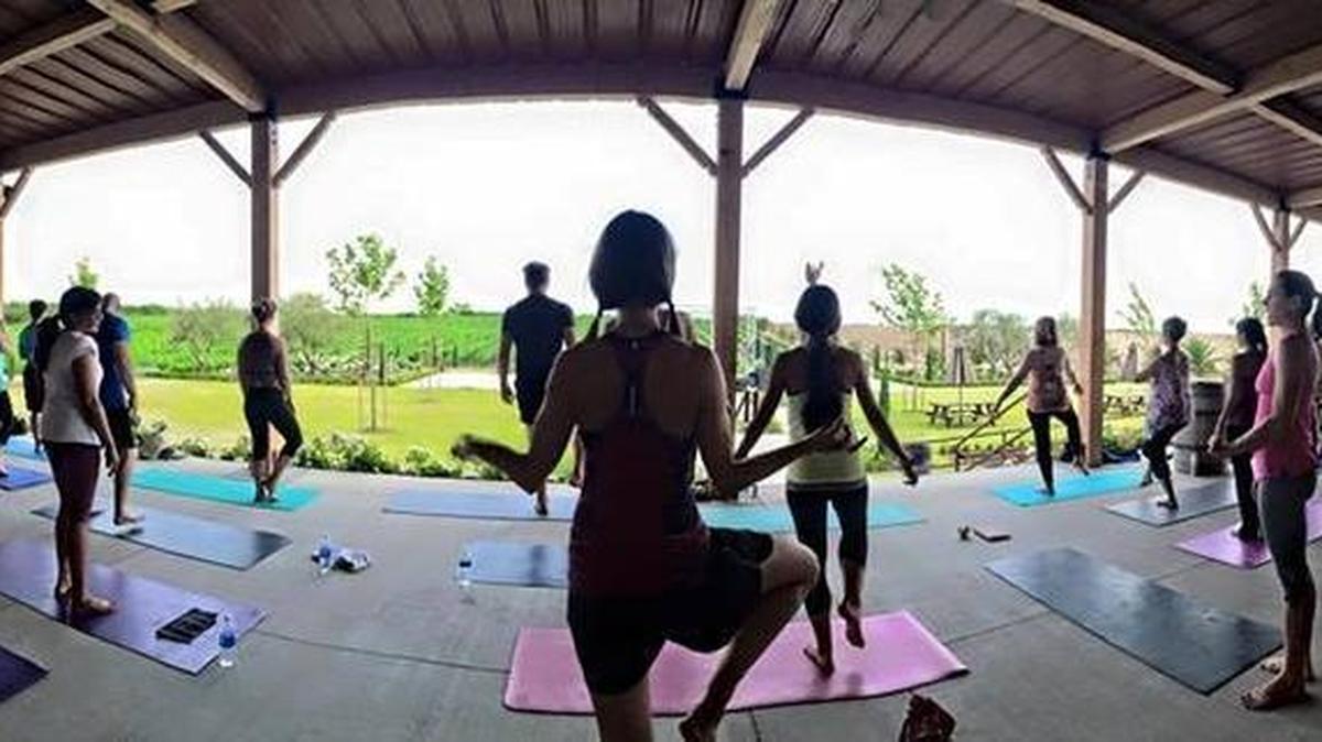
Try Yoga in the Vines at Toca Madera Winery in Madera.

