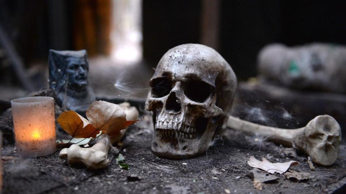 
Hobb’s Grove opens its Halloween season.
