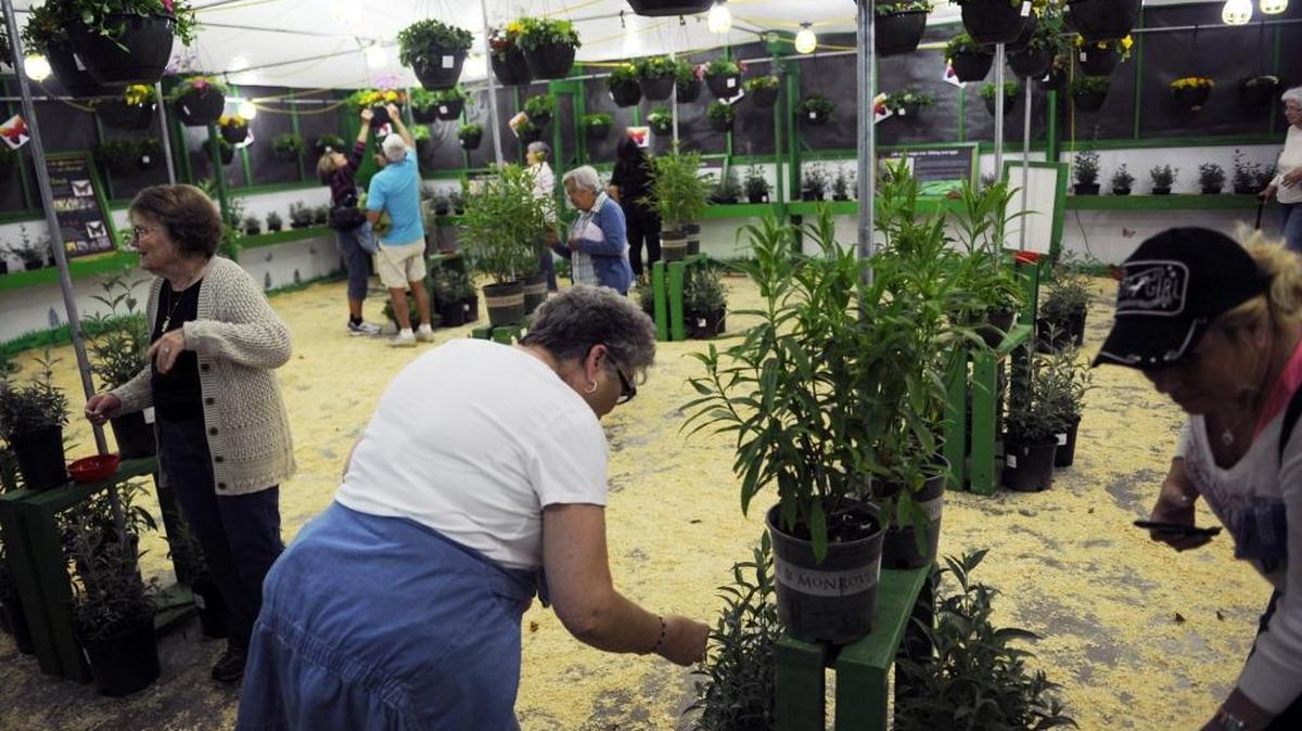 The Fresno Remodeling and Decorating Show will take place at the Fresno Fairgrounds.