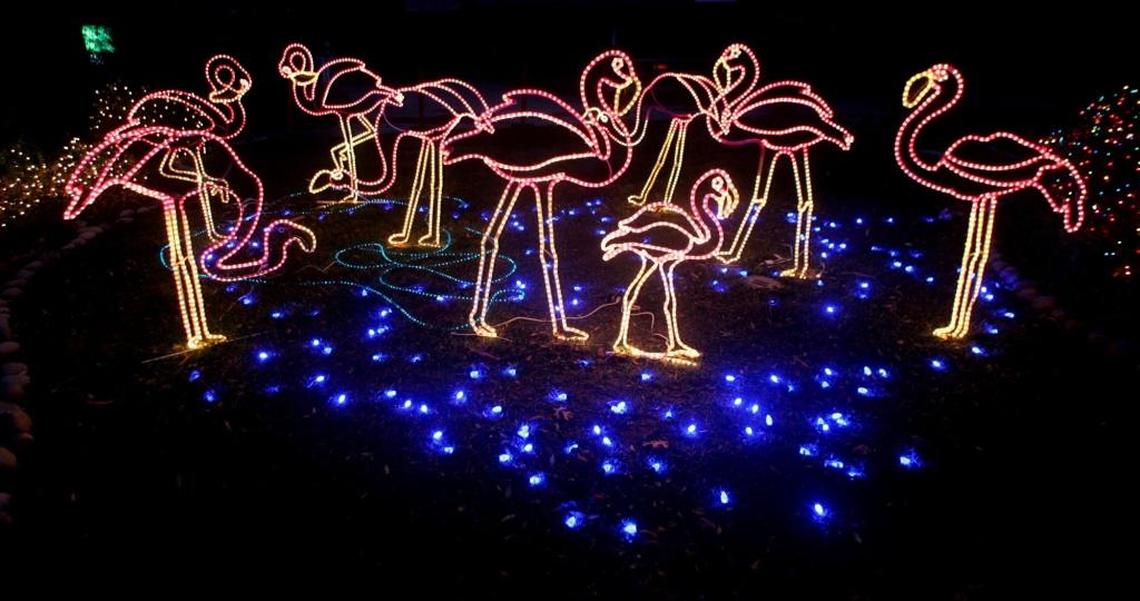 Fresno Chaffee Zoo lights up each holiday season with ZooLights.
