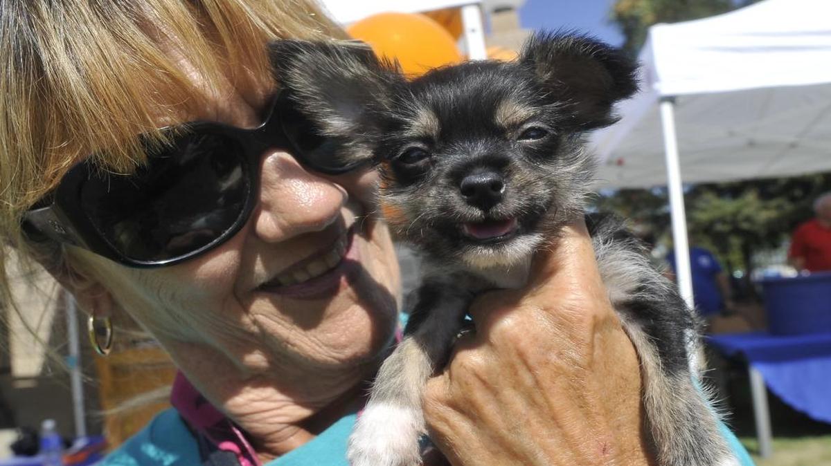 Support local animals at the sixth annual Bets for Pets tonight at Engelmann Cellars.