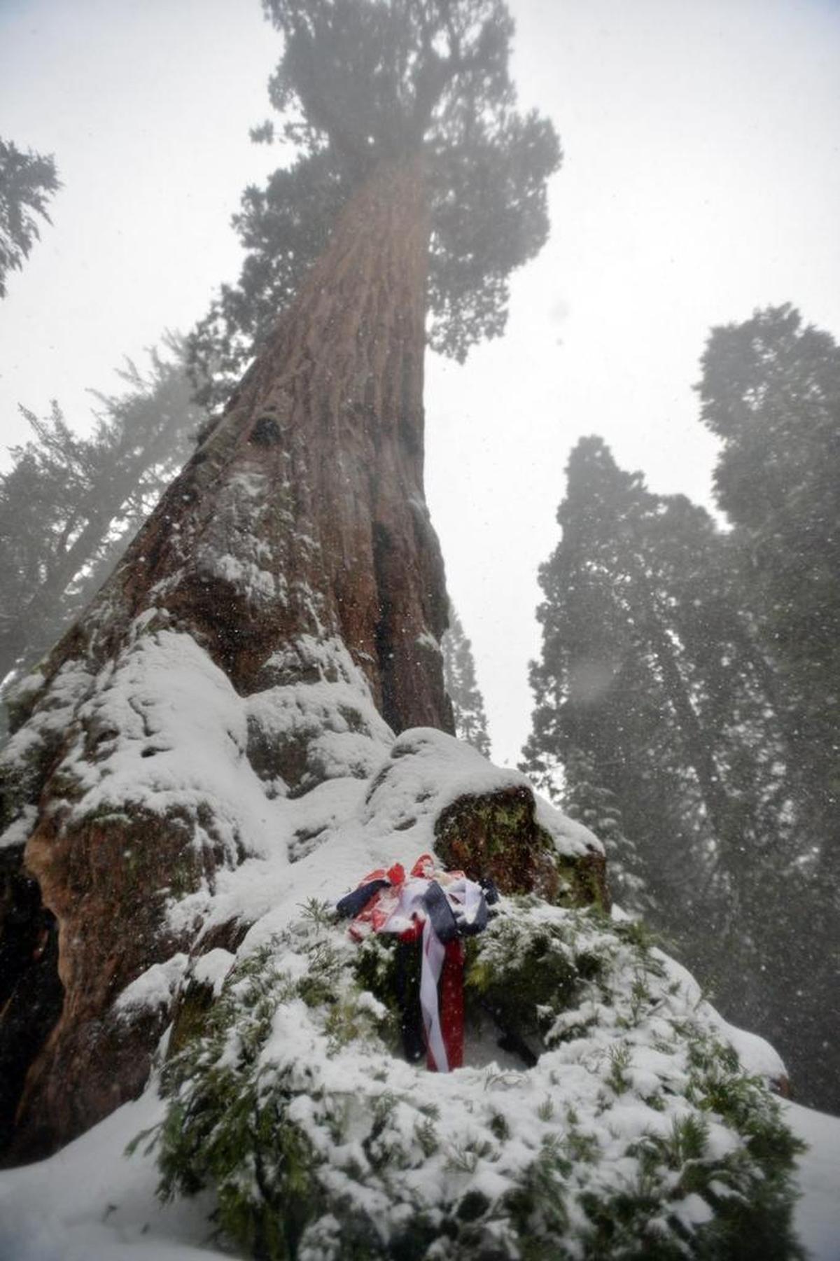 The annual Trek to the Nation’s Christmas Tree at Grant Grove is Dec. 10.