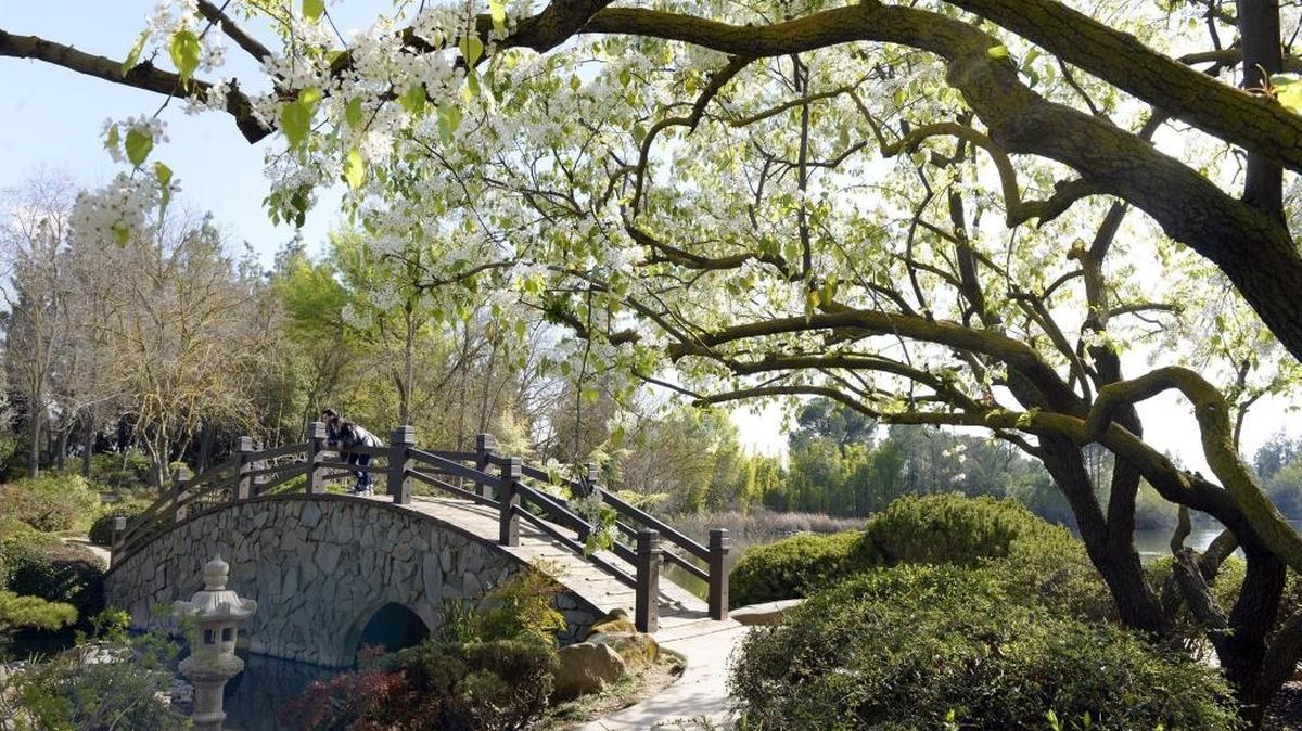 Spend time in Ume Grove where apricot trees are in bloom.