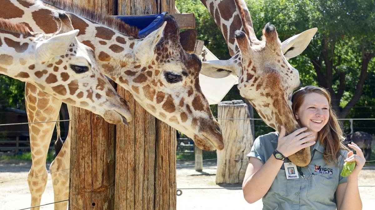 The Fresno Chaffee Zoo is the No. 3 most photographed place in town according to Yelp.com reviews. 