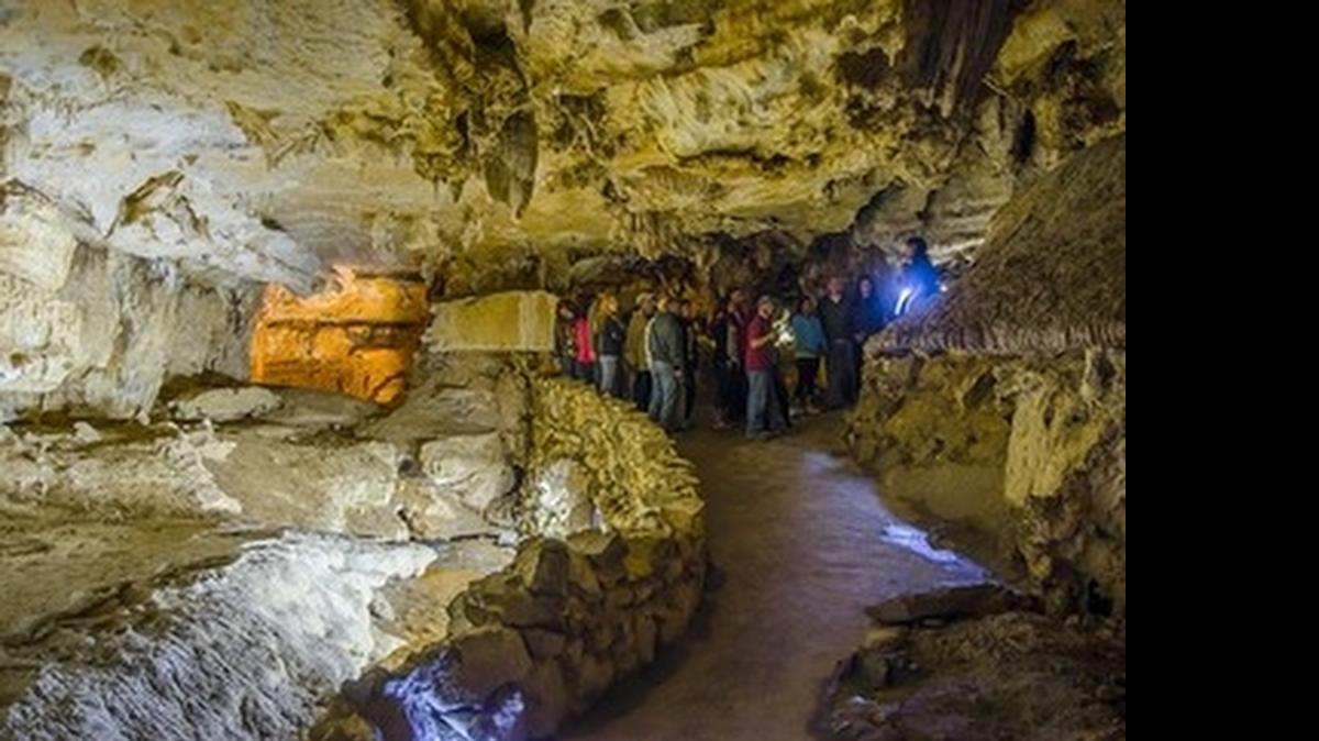 
Take a guided tour of the Crystal Cave at Sequoia National Park.
