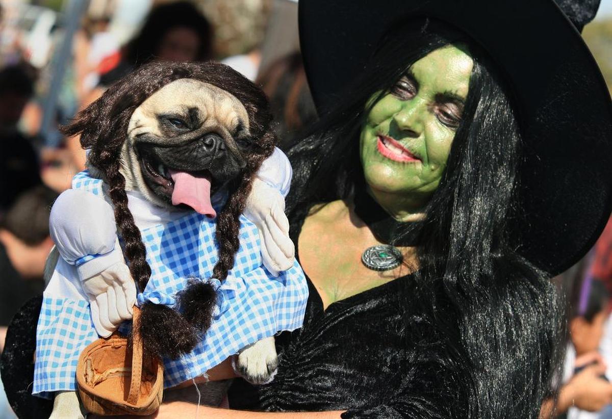 Dogs and their owners dress up for the annual Pooch Parade and Festival in Tower District.