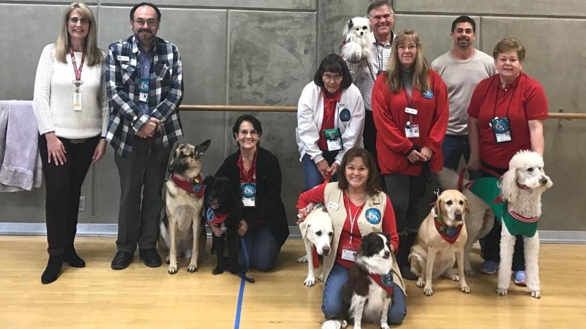 Therapy Dogs International - Fresno Chapter 220 visits Buchanan High School.
