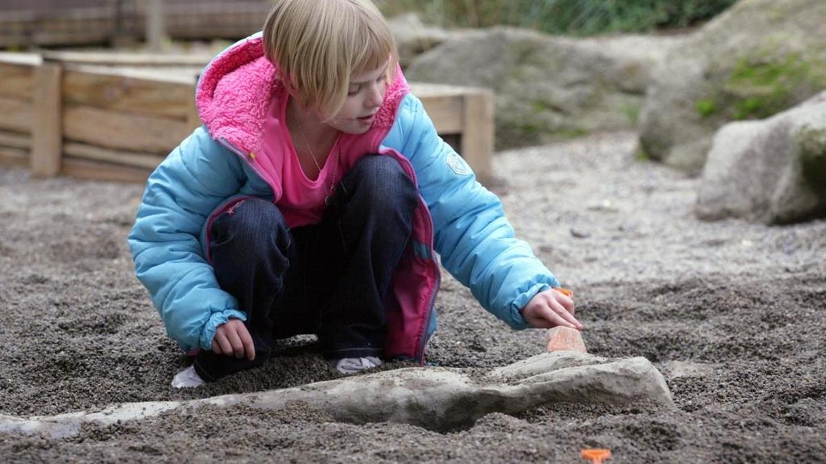 
Kids can play uncover bones in Dino Dig at ValleyPBS Kids Nite at Fresno Chaffee Zoo.
