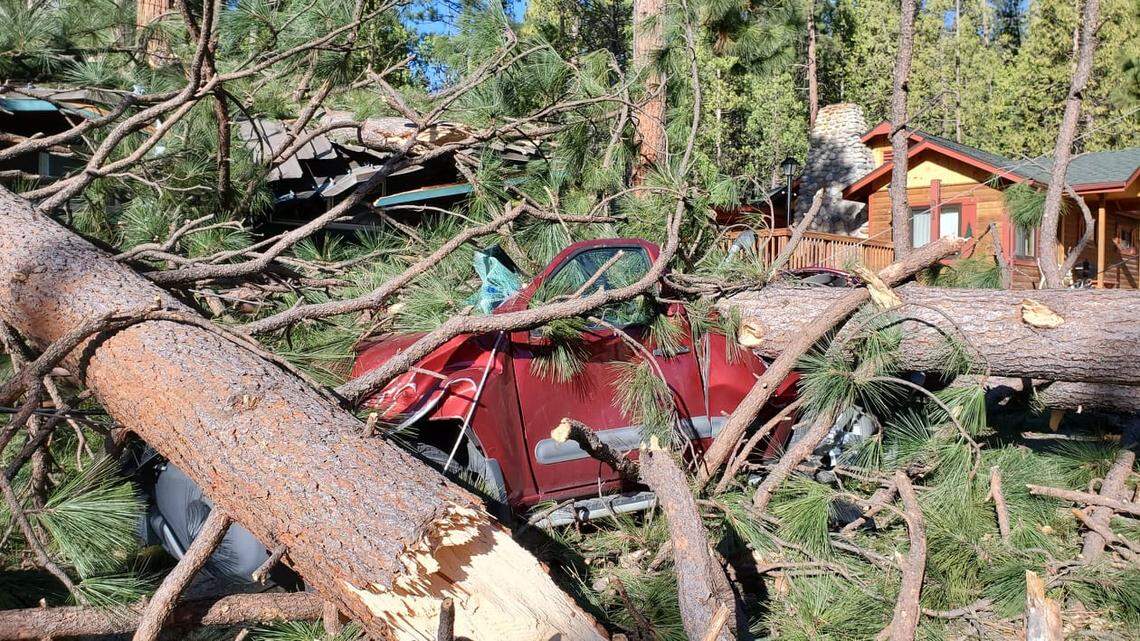 Yosemite National Park is assessing damaged caused by a wind storm in January, 2021.