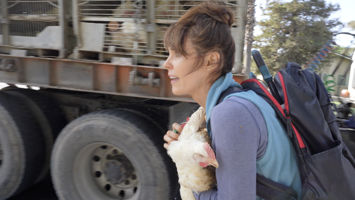 ‘Baywatch’ star used loophole to beat chicken-stealing charges, Merced DA says