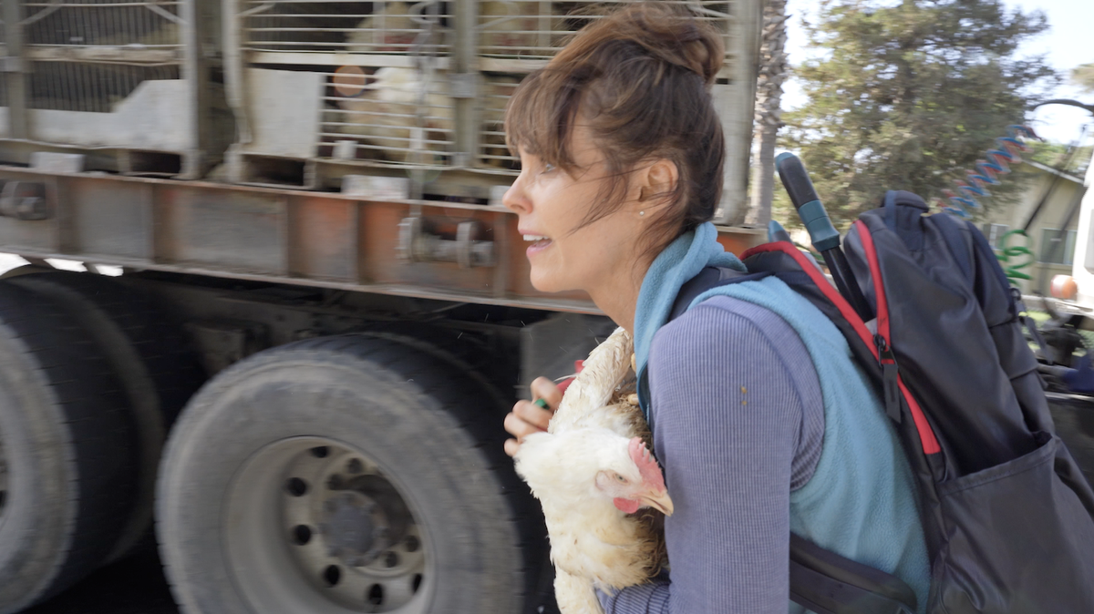 Alexandra Paul runs off with a chicken taken from a delivery truck at the Foster Farms plant in Livingston, California, in September 2021. On Friday, March 17, 2023 a Merced County jury acquitted Paul of charges stemming from the case.