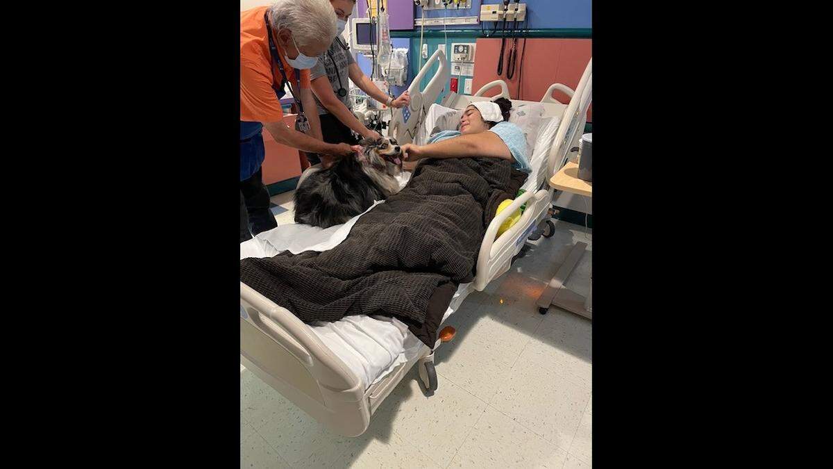 Rashelle Diaz, 16, pets a therapy dog during her stay at Valley Children’s Hospital in September 2022. She had two surgeries during a nine-day stay, according to her mother, Rosemary Wanis.