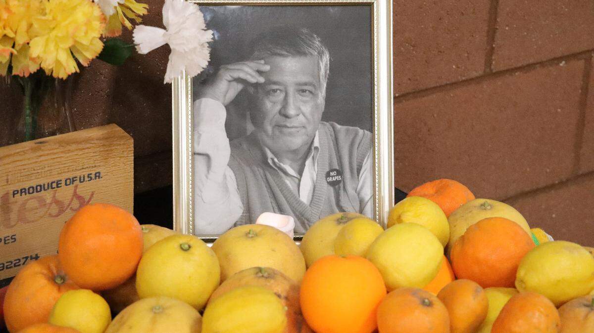 A portrait of United Farm Worker founder César E. Chávez is surrounded by oranges in an altar created for a farmworker breakfast at the Pan American Community Center in Madera on March 30, 2025.