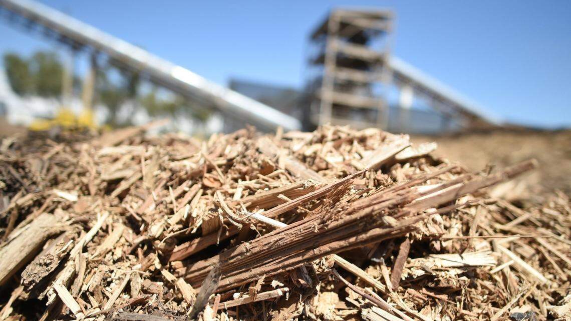 Mulched trees are converted by biomass plants into energy. Sstate Assemblymember Rudy Salas sees it as a key for California’s power future, but Nayamin Martinez of the Central California Environmental Justice Network criticizes biomass as dirty and harmful to climate change.