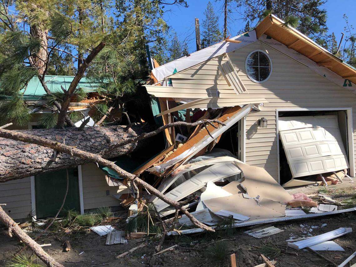 A house, damaged by a fallen tree near Bass Lake. Some 40 homes in the area were damaged by high winds on Monday night and Tuesday morning.