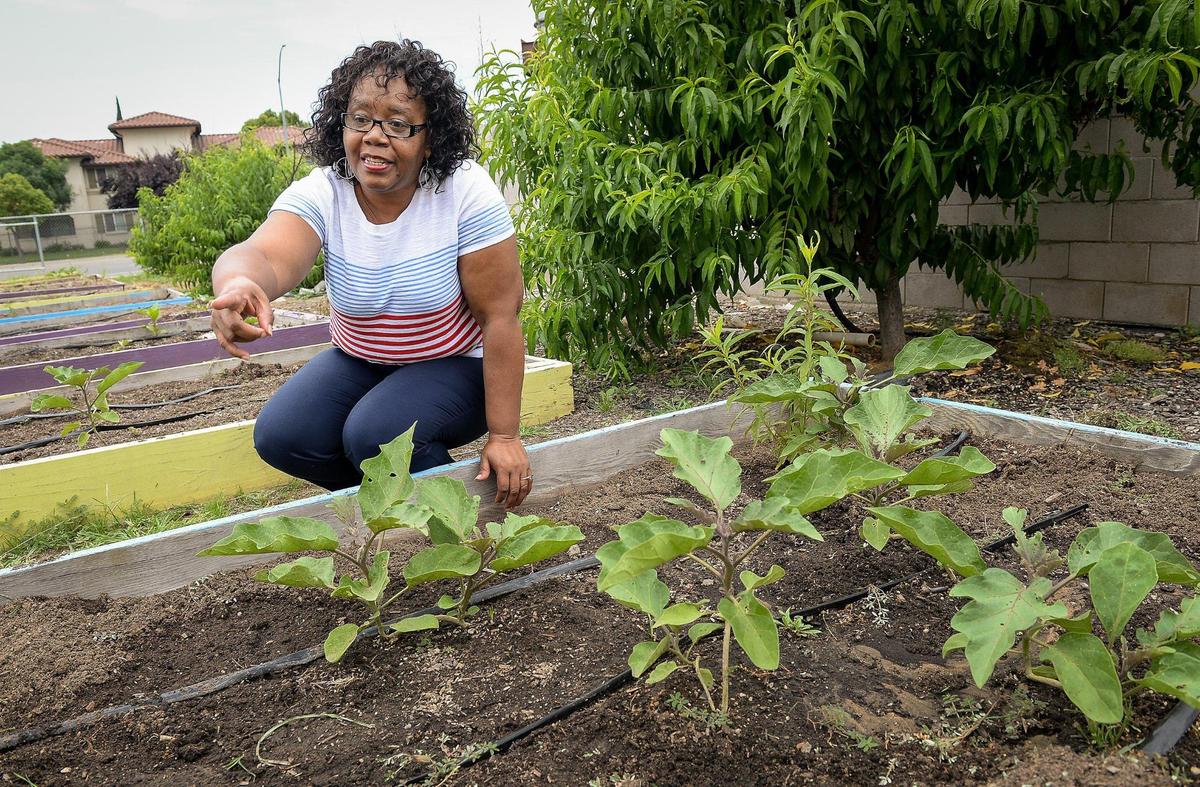 Yolanda Randles, executive director of West Fresno Family Resource Center, takes a look at the resource center garden outside the west Fresno office on Friday, June 5, 2020.