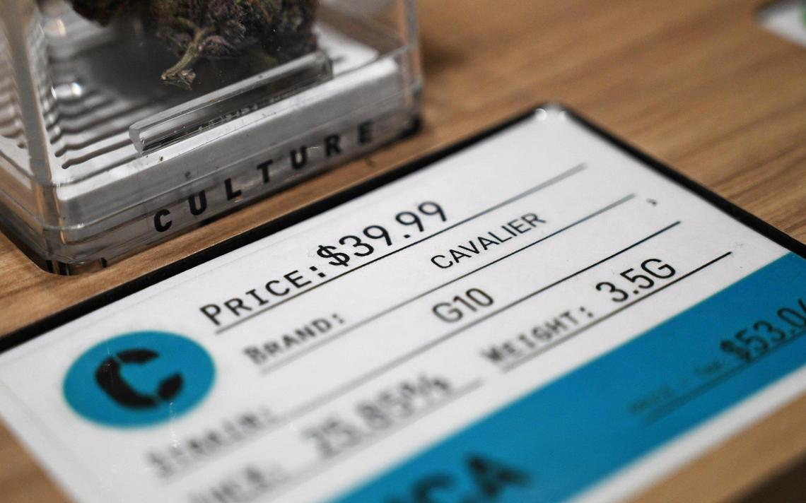 A strain of Indica from locally owned Cavalier is seen for sale at Culture Cannabis Club, Thursday, Jan. 11, 2024 in Fresno.