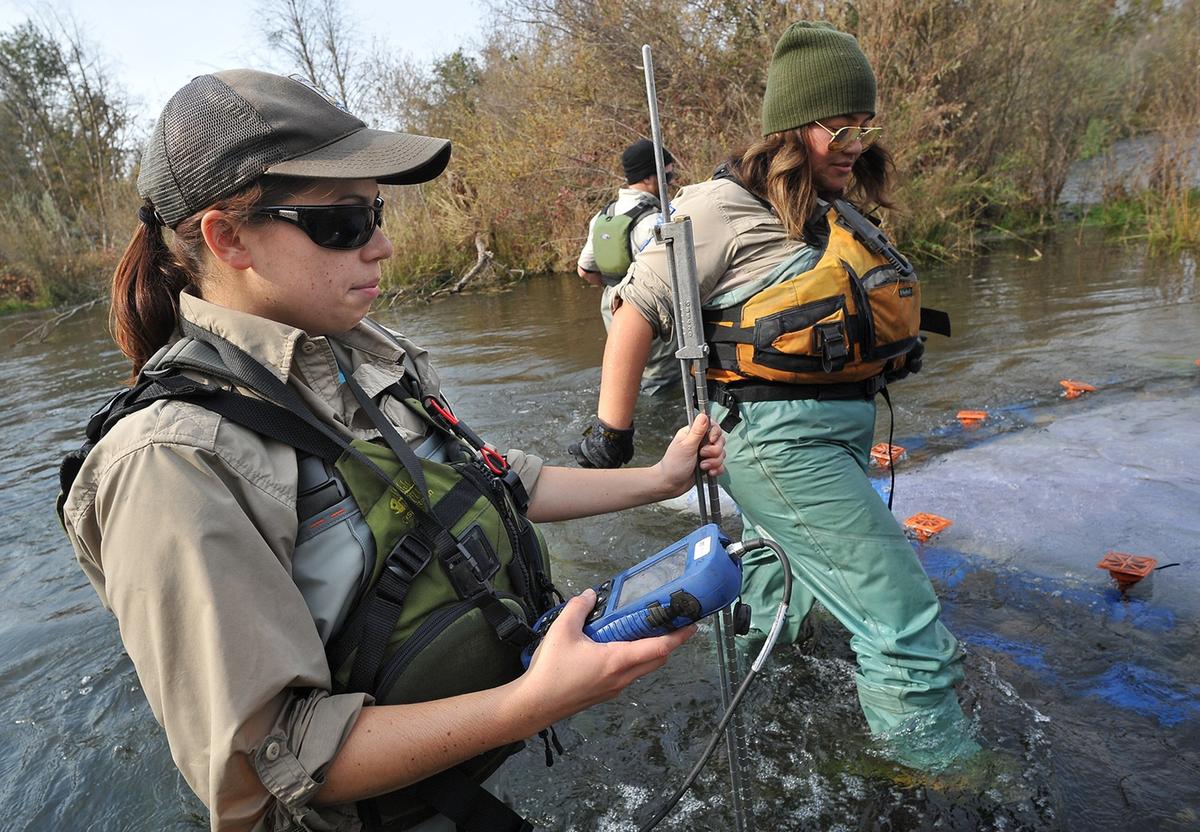 Stephanie Durkacz, fish biologist at US Fish and Wildlife Service, uses an instrument to gauge water conditions in the San Joaquin River at Friant, where an emergence trap was placed over a redd -  a nest made of gravel where female salmon lay eggs - to catch newly hatched Chinook salmon for study during the river restoration project, Monday morning, Nov. 19, 2018. At center, Adriana Arrambide, scientific aide for California Department of Fish and Wildlife, moves in to secure the trap.