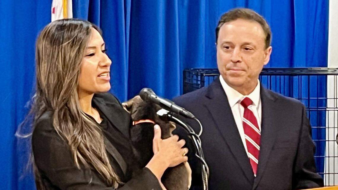 Fresno City Council President Annalisa Perea, left, holds a puppy from the Fresno Animal Center while Councilmember Garry Bredefeld looks on at a press conference on Wednesday, Aug. 14, 2024, at Fresno City Hall. Perea and Bredefeld are co-sponsors of an ordinance requiring anyone breeding and selling pets in the city to have a breeder’s permit and a business license. Violations can range to $1,000 per animal illegally sold.