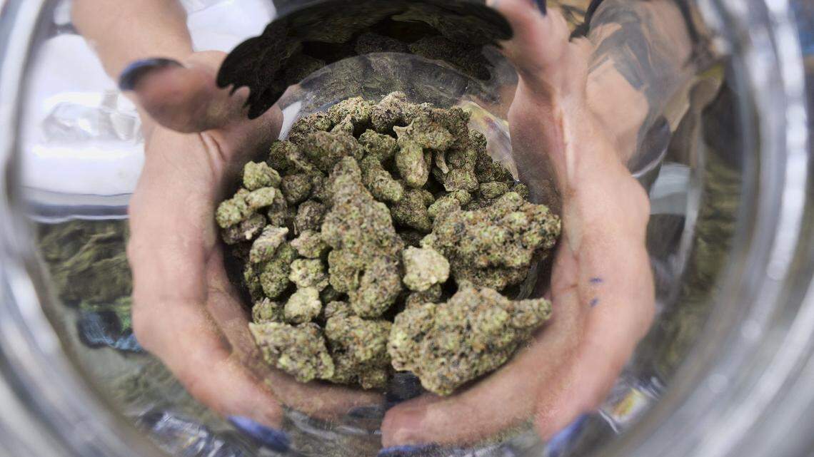In this file photo a bud tender displays a jar of cannabis at the High Times 420 SoCal Cannabis Cup in San Bernardino, Calif.