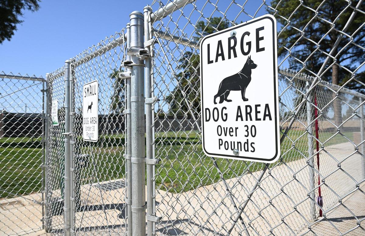 Separate areas for small and large dogs are seen at Letterman Park’s dog park Wednesday, April 9, 2025 in Clovis. The City of Clovis has established two dog parks for dogs to run unleased. The other dog park is located at Sierra Bicentennial Park.