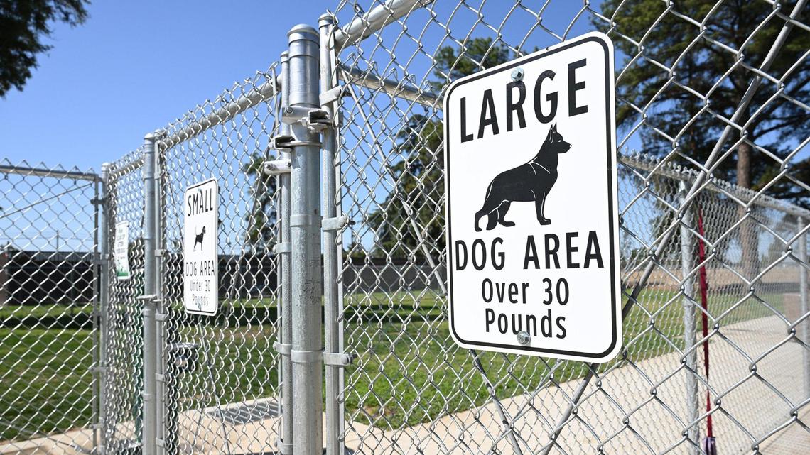 What are the most popular dog breeds in California? See which ones made the list