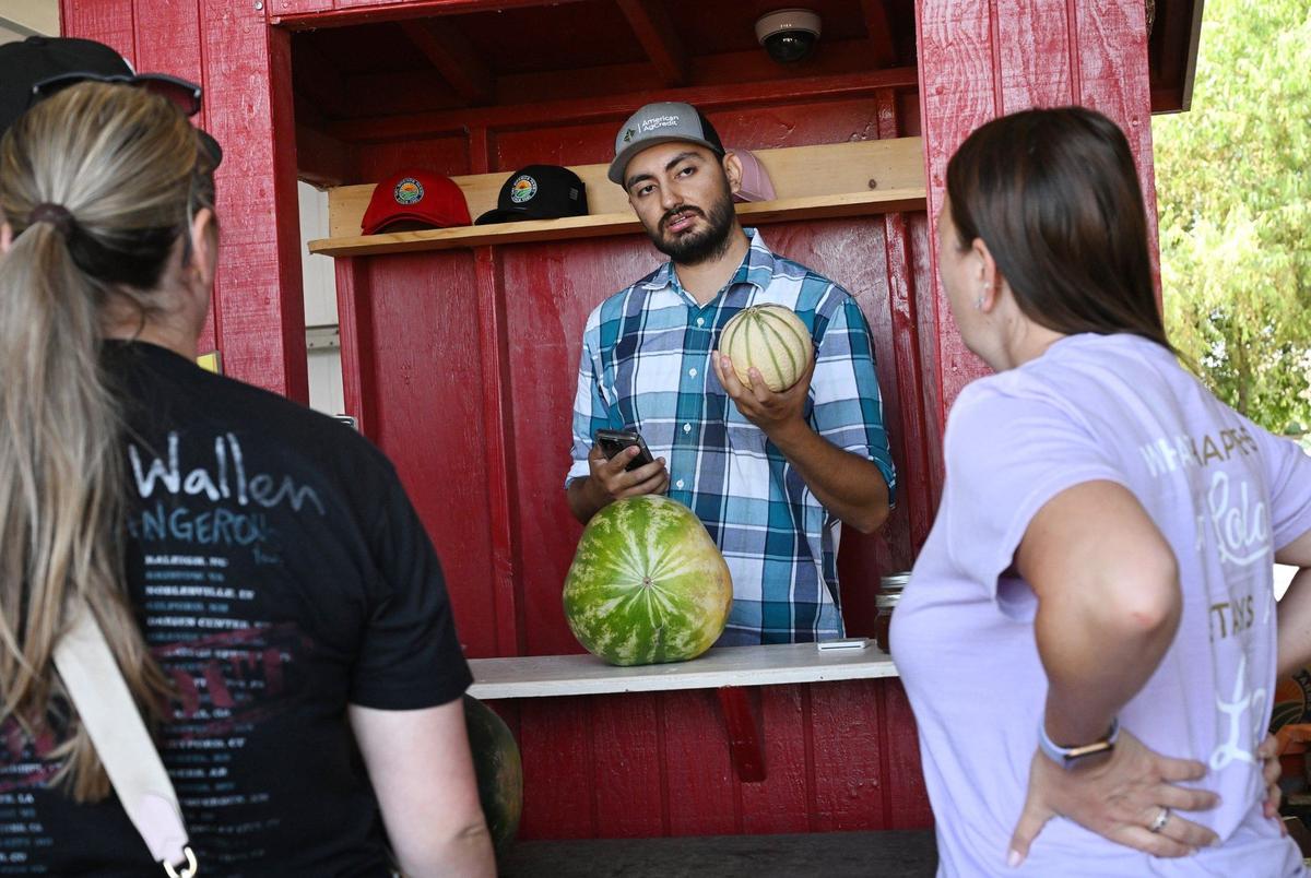 Erik Alfaro of Del Bosque Farms, center, displays two melons to shoppers at the family fruit stand on Shields Ave near I-5 at the far west side of the Valley Monday, July 15, 2024.