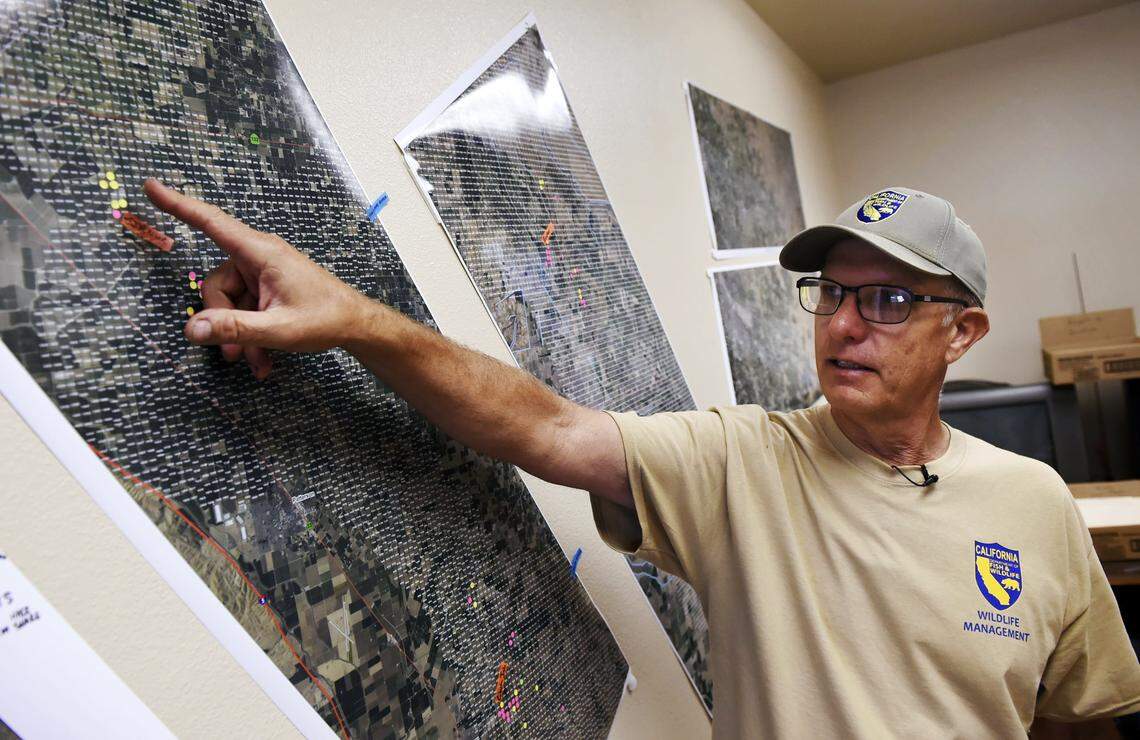 California Department of Fish & Wildlife senior field biologist Greg Gerstenberg points out newly re-discovered nutria sightings on a map at the North Grasslands Wildlife Area's Salt Slough Unit Wednesday, June 13, 2018 near Los Banos.
