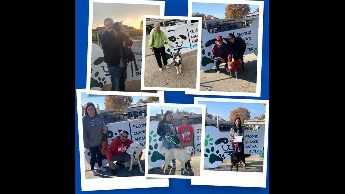 More than 100 dogs have been adopted from the Second Chance Animal Shelter of Selma this month. Dozens more remain at the shelter.
