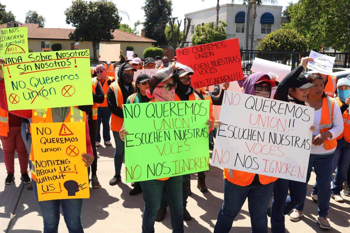 More than 100 workers from Wonderful Nurseries in Wasco demonstrated their discontent outside the Agricultural Labor Relations Board office in Visalia on March 27.