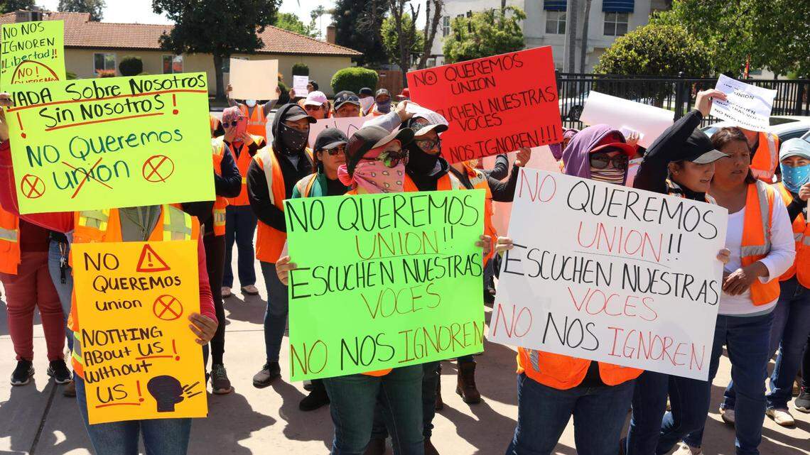 More than 100 workers from Wonderful Nurseries in Wasco demonstrated their discontent outside the Agricultural Labor Relations Board office in Visalia on March 27.