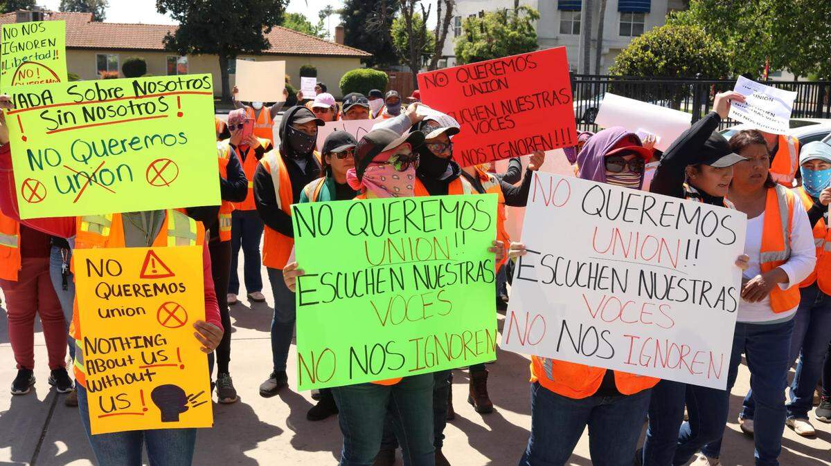 More than 100 workers from Wonderful Nurseries in Wasco demonstrated their discontent outside the Agricultural Labor Relations Board office in Visalia on March 27.