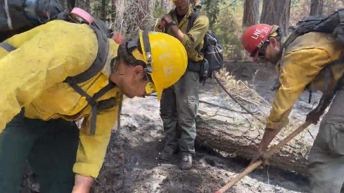 A pair of firefighters use hand tools to dig out a smoldering patch of ground burned by the Washburn Fire within the Mariposa Grove of giant sequoia trees in Yosemite National Park, while a third stands by with a water hose, during mop-up efforts on Monday, July 18.