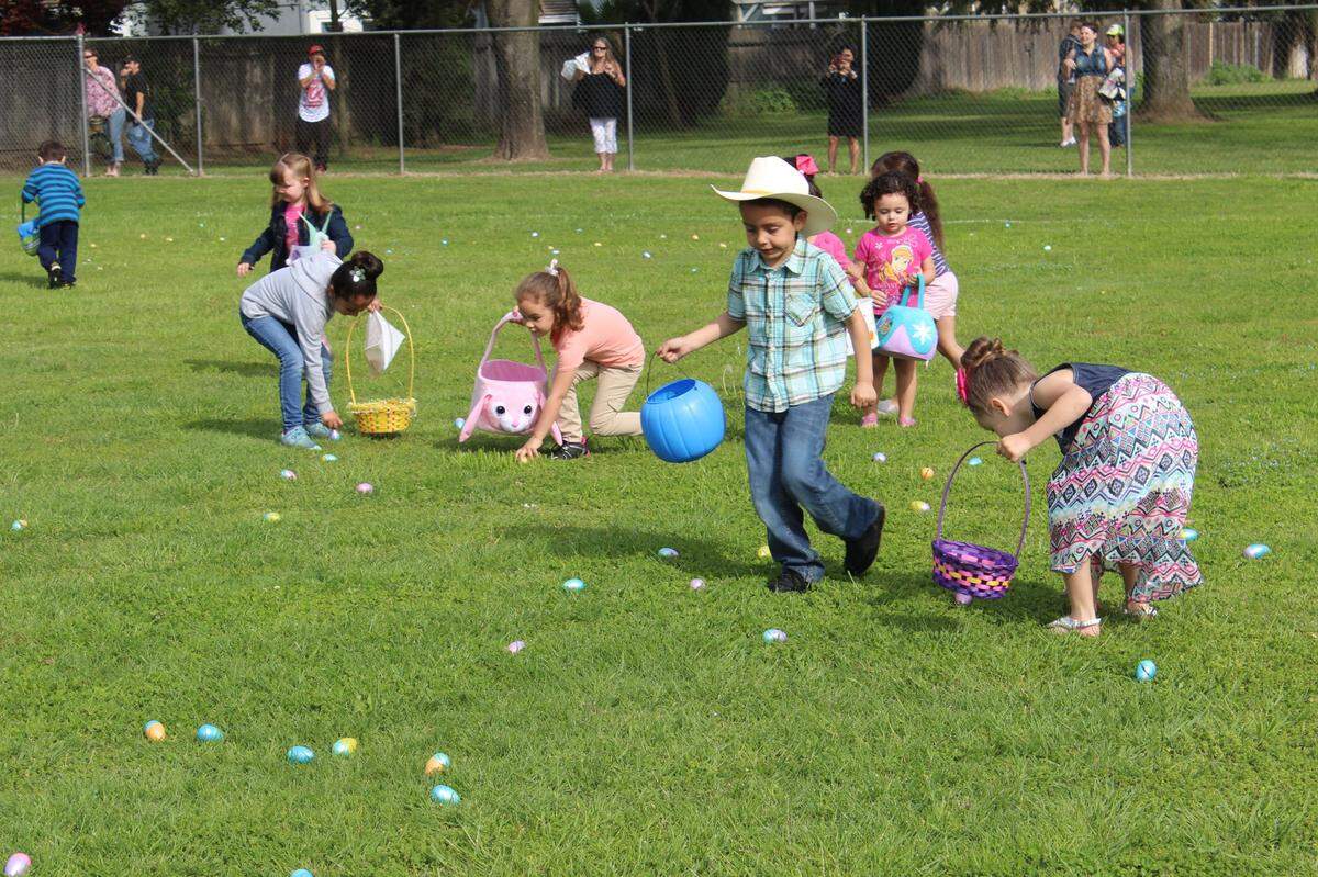 Approximately 9,000 brightly colored plastic Easter eggs were used in the city of Chowchilla’s annual Easter egg hunt held at Edward Ray Park in 2016. 